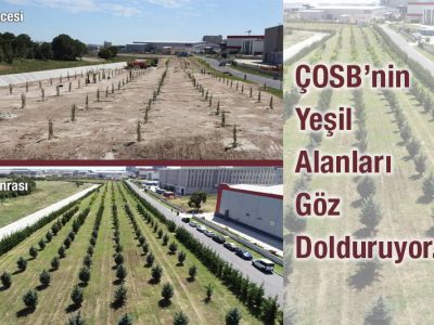 COSB_Yesil_Alan